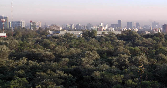 El Ecosistema En El Campus Representanal Por Ciento De Su Superficie Foto Conacyt