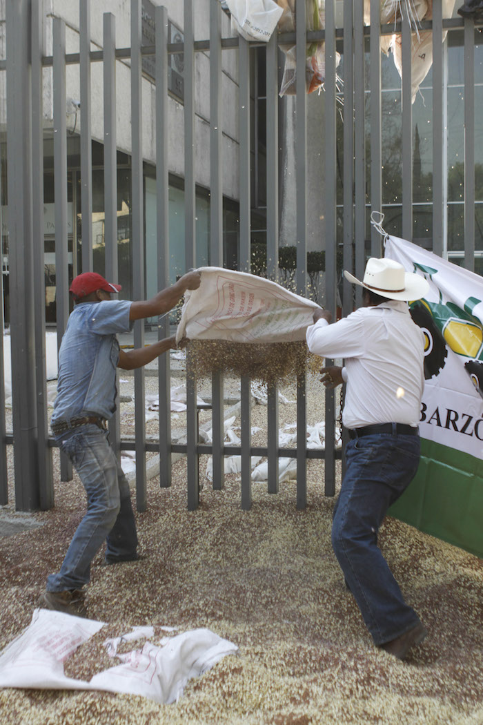 El campo mexicano sufrió una real devastación a partir de la competencia con los productos altamente subsidiados de Estados Unidos, alertan líderes. Foto: Cuartoscuro 