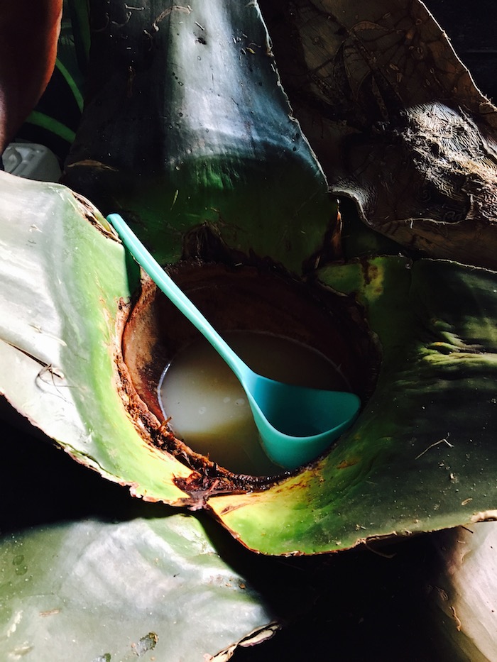 Un Pulque En La Zona De Cantinas Donde Además Había Cerveza Vino Mezcal Entre Otras Bebidas Foto Daniela Medina Sinembargo