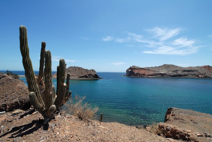 Piérdete Entre El Mar Y El Desierto Foto Trivago