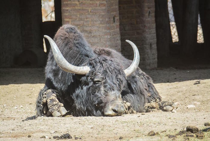 Foto: César Solórzano, ZonaFranca