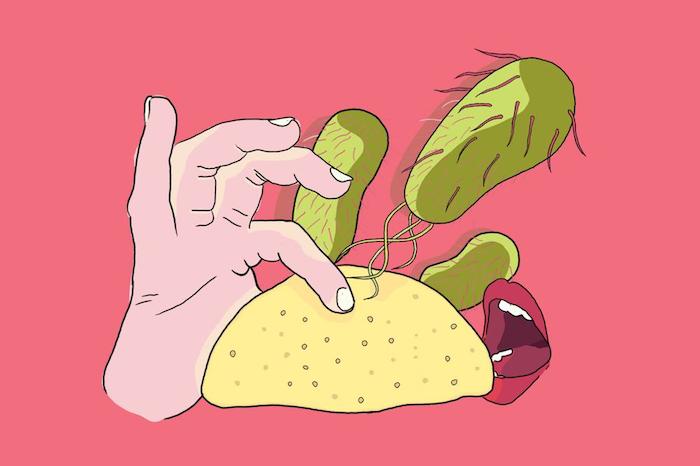 Esta Primera Ronda De Tacos Analizados Pasó La Prueba Ilustración Carlos Castillo