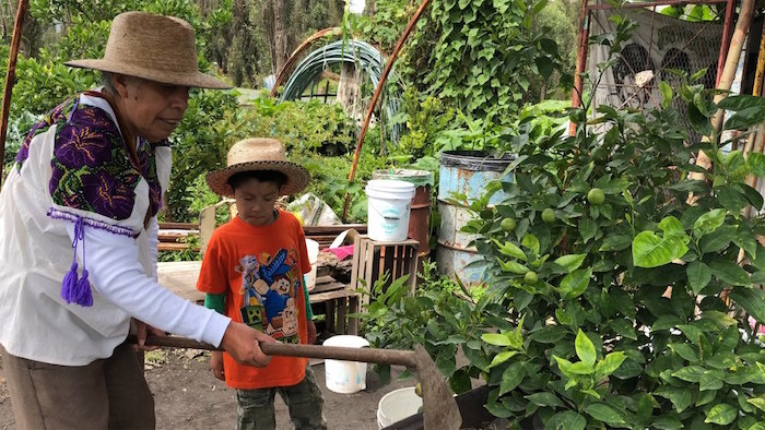 Chinampas De Xochimilco