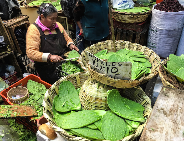 Propiedades del nopal