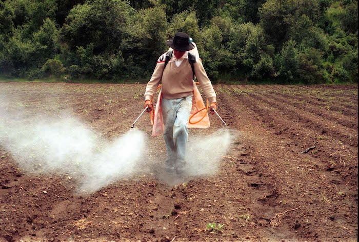 MXDF16SEP2002.- Hay actividades humanas que contribuyen a que se amplíe el agujero de la capa de ozono; como la deforestación, la combustión de gasolinas fósiles y el uso de algunos fertilizantes. El empleo de insecticidas, desodorantes, fijadores, plaguicidas, y más productos químicos que operan con spray, tienden a disminuir esa franja de ozono.