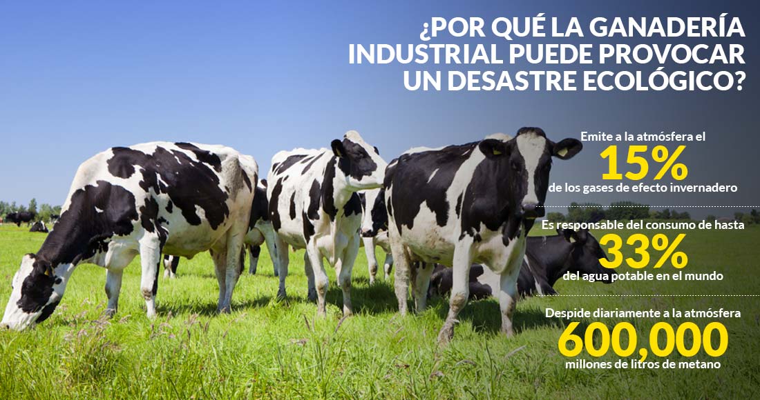 Resultado de imagen para industria de la carne que mayor contamina