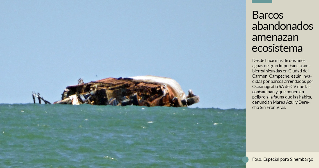 Desde hace más de dos años, aguas de gran importancia ambiental situadas en Ciudad del Carmen, Campeche, están invadidas por barcos arrendados por Oceanografía SA de CV que las contaminan y que ponen en peligro a la fauna que las habita