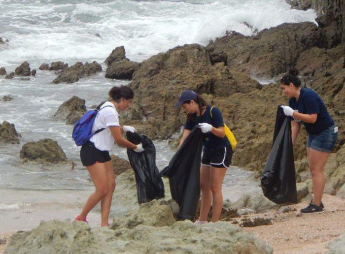 En Mazatlán Cancún Puerto Escondido Mahahual Los Cabos Y Ciudad Del Carmen De Las Ciudades Costeras Muestreadas El Plástico Representó Más Del Por Ciento De Los Residuos Hallados