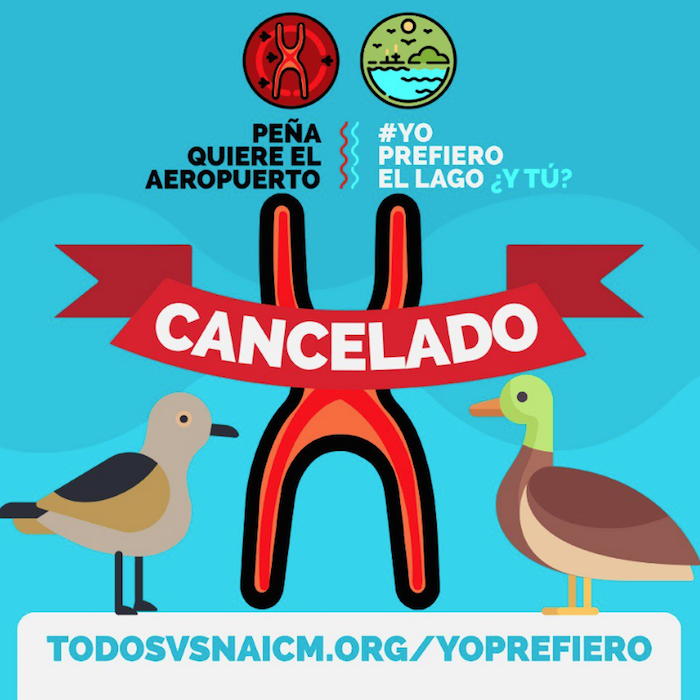 Ambientalistas Y Académicos investigadores Vieron En Texcoco Un Sitio Inviable Para La Construcción Del Aeropuerto Toda Vez Que Constituiría Un Ecocidio Que Terminaría Con Los Ecosistemas Y Las Especies De La Cuenca Del Valle De México