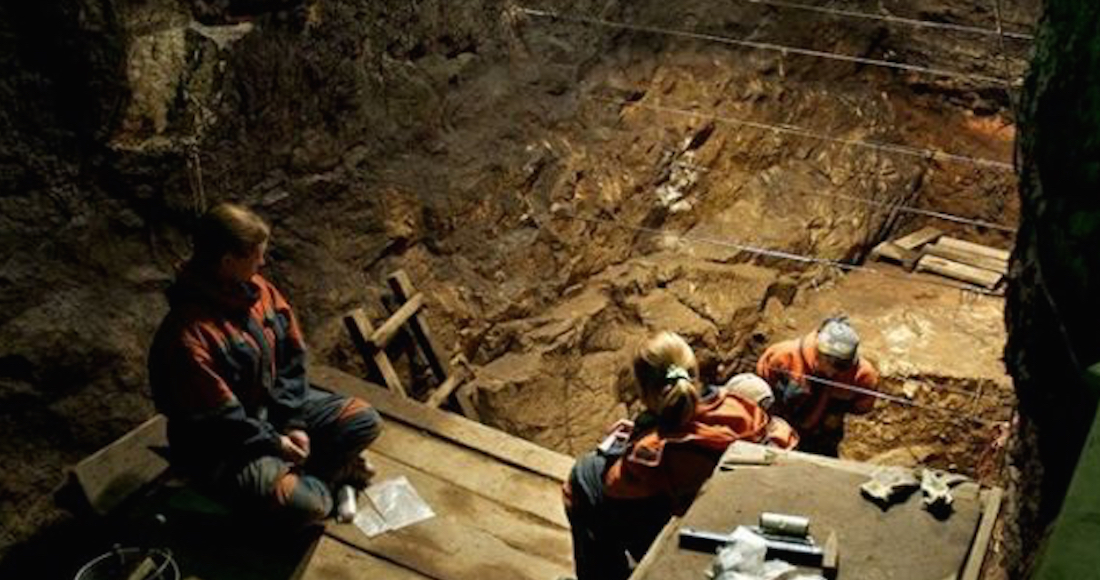 A 45 Años Del Hallazgo De Lucy La Madre De La Humanidad Que Fue Un Puente Al Hombre Moderno 