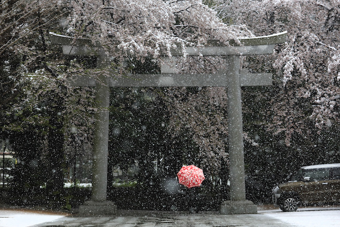 Una mujer pasa bajo un arco tori durante una nevada, el domingo 29 de marzo de 2020 en Tokio. Foto: Jae C. Hong, AP