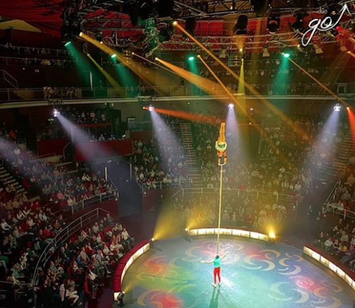 Artistas circo afectados covid