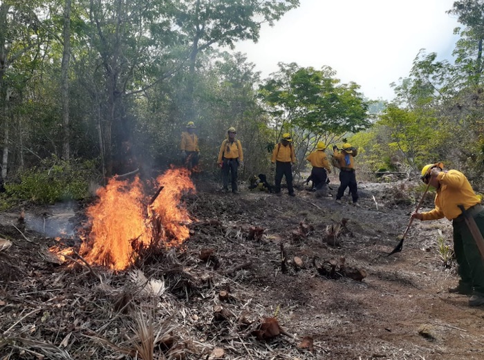 Incendios forestales