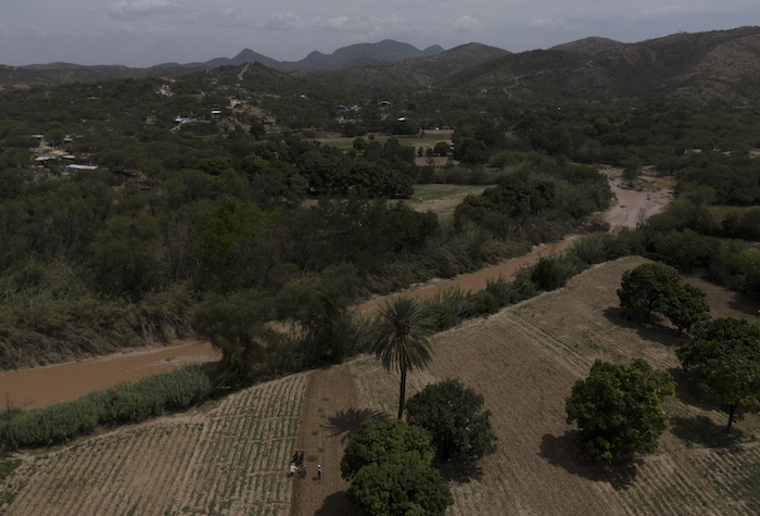 Hombres Aran La Tierra Con Bueyes En San Jerónimo Xayacatlán Una Localidad Mexicana Donde Casi Un Tercio De Su Población Emigró a Nueva York El De Junio De Los Residentes Han Estado Preparando La Tierra Para Una Plantación De Maíz Recolectando Los últimos Mangos De La Temporada Y Alguna Fruta Para Vender En El Mercado Que Volvió a Abrir a Finales De Junio Tras Cerca De Tres Meses Cerrado