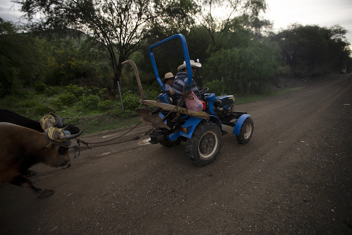 Felipe Martínez Que Tenía Un Trabajo En La Construcción En Estados Unidos Lleva a Un Vecino En Su Tractor Mientras Maneja Hacia Sus Campos En Los Que Cultiva Maíz En San Jerónimo Xayacatlán México El De Junio De Martínez Dijo Que Compró La Tierra Y El Tractor Con El Dinero Que Ganó Trabajando En Staten Island Nueva York