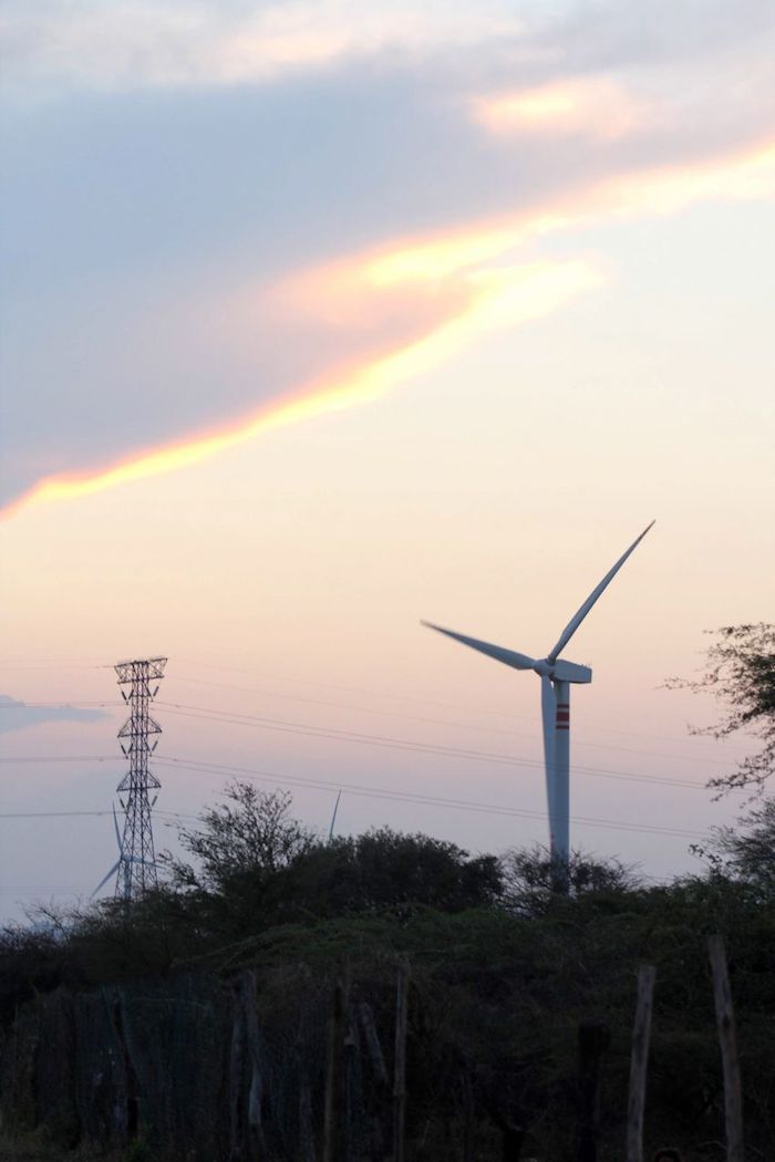 En El Istmo De Tehuantepec Existen Condiciones Para Generar Mil Mega Watts De Electricidad En El Parque Eólico la Venta