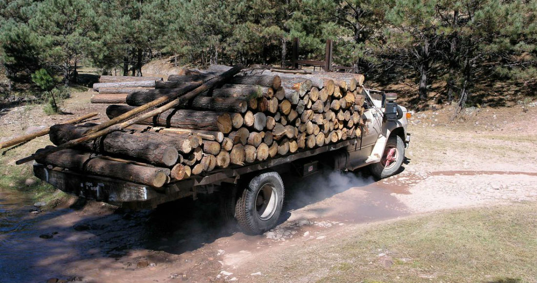 Troncos de madera en un camión de carga.