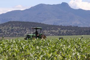 agricultura-campo-verde-tractor