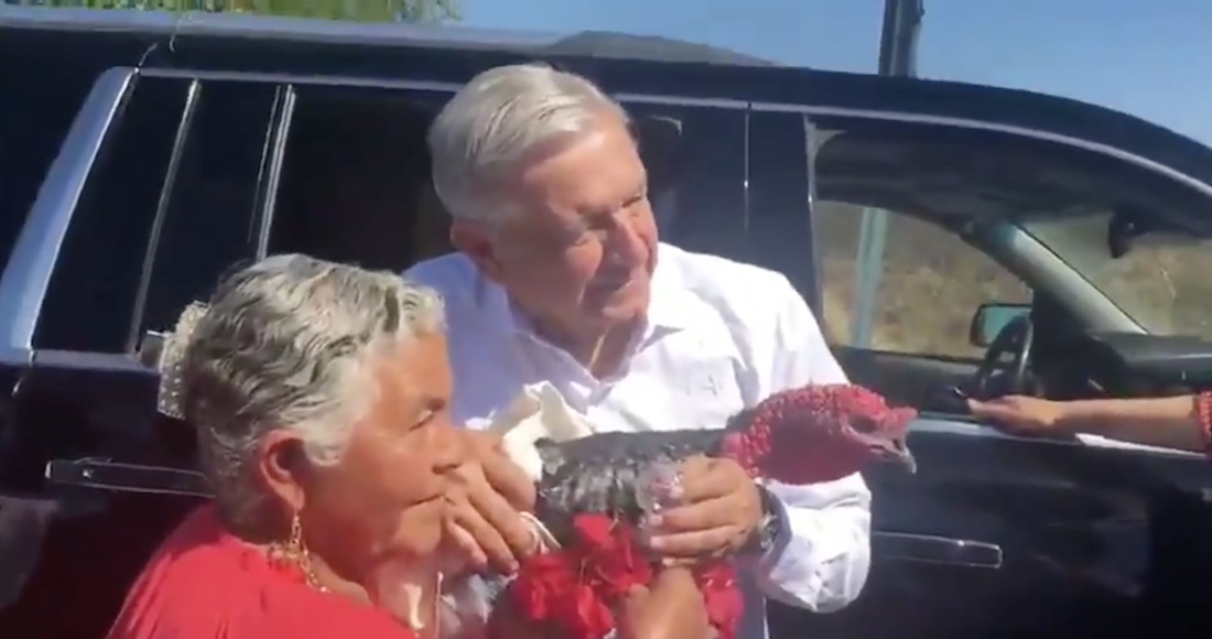 Una mujer en Oaxaca fue quien le obsequió el guajolote al Presidente. Foto: Captura de video