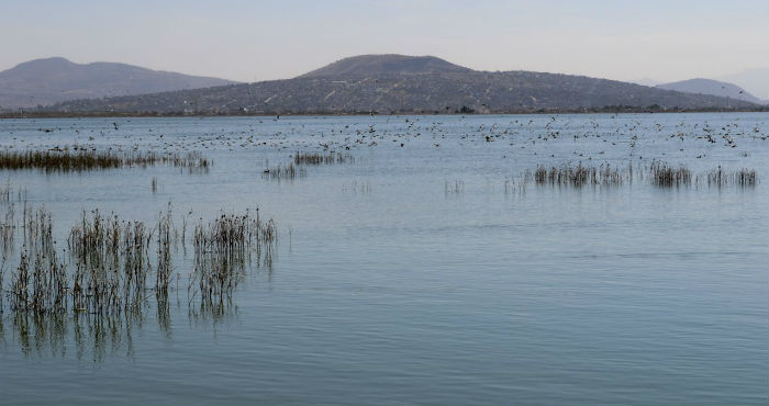 gran Cantidad De Personas Y Organizaciones Han Estado Trabajando Para Asegurar Una Buena Gestión Del Agua Por Ejemplo Cambiando El Marco Legal Demandando Una Nueva Ley General De Aguas Que Asegure El Alto a La Privatización Acaparamiento Y Contaminación Del Agua