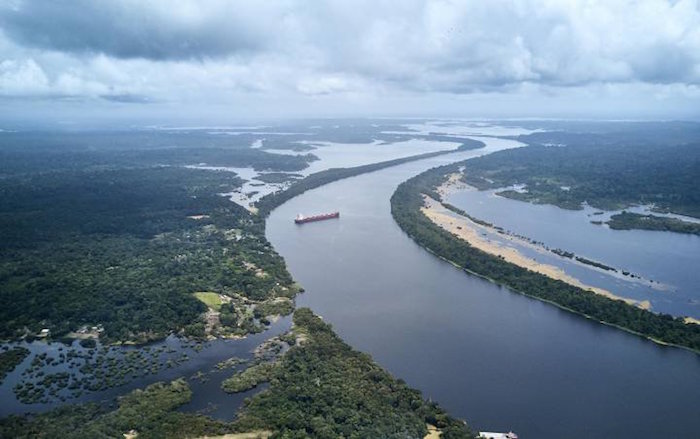 Defensores selva brasil