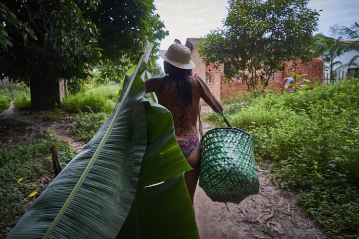 Defensores selva brasil