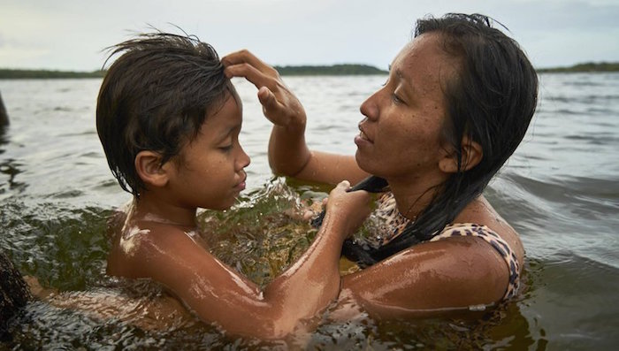 Defensores selva brasil