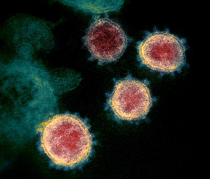 Imagen Del Nuevo Coronavirus