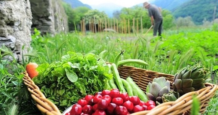 "Estados Unidos y la Unión Europea bloquean aspectos fundamentales en las directrices de Naciones Unidas sobre sistemas alimentarios, fundamentales para la sustentabilidad del planeta y la salud de la población global".