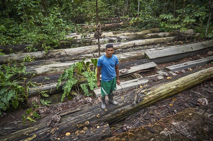 IndÍgenas amazonas open