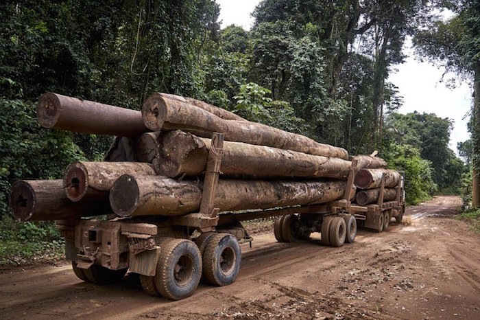 IndÍgenas brasil amazonas