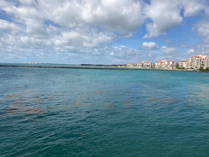 Gran saturación de sargazo en la playa de Miami Beach, Florida, Estados Unidos, el pasado 17 de mayo. 