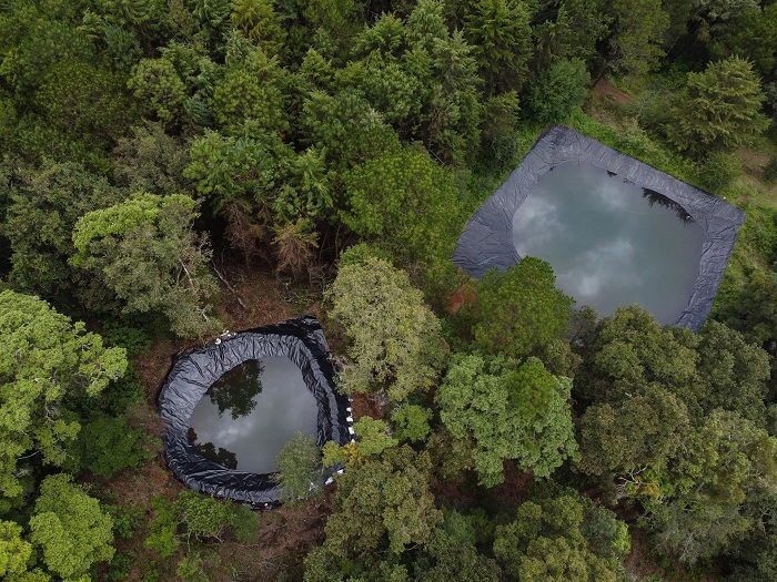 Pobladores cuidan el bosque de Cerro Grande, en Colima. 