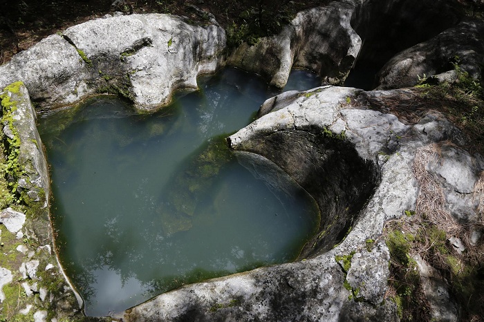 Pobladores cuidan el bosque de Cerro Grande, en Colima. 