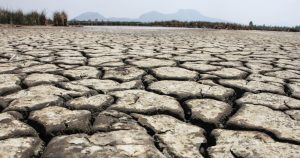 Flora Y Fauna Devastadas Por Sequía En Lagunas De Tláhuac En La Ciudad De México