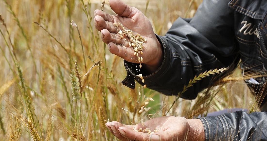 Lucha contra el cambio climático en la agricultura