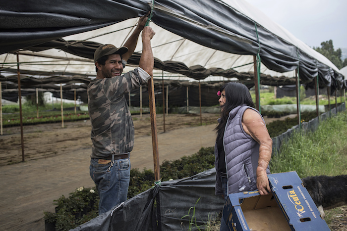 Elisa Xolalpa, quien sobrevivió a un ataque con ácido por su expareja hace 20 años cuando ella tenía 18 años, habla con un colega que también cultiva plantas en Ciudad de México, el sábado 12 de junio de 2021. 