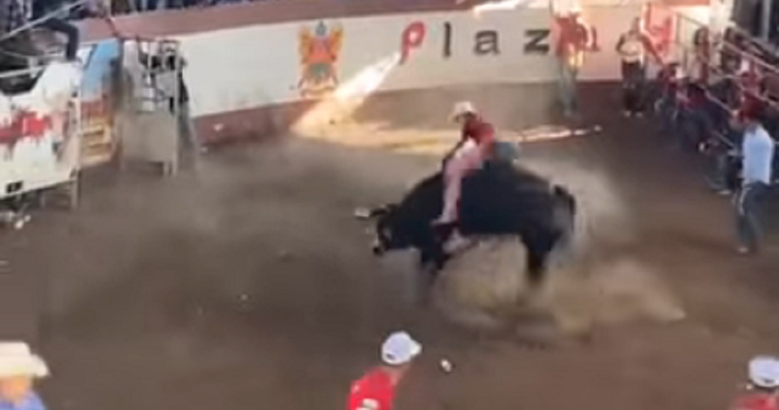 Toro embiste a asistentes a jaripeo clandestino