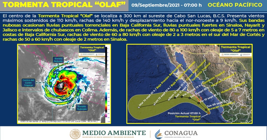 La tormenta tropical "Olaf" se sigue intensificando gradualmente.