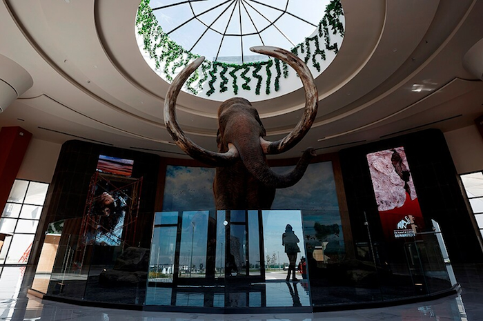 Fotografía De Una Escultura Paleontológica De Un Mamut El De Octubre De En El Museo Paleontológico De Santa Lucía Quinamétzin En El Municipio De Zumpango méxico