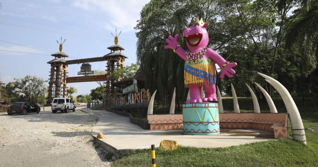 Una Estatua De Un Hipopótamo Rosado Les Da La Bienvenida a Los Turistas Que Visitan La Hacienda Nápoles De Pablo Escobar Hoy Convertida En Un Parque Temático Foto Del De Febrero Del