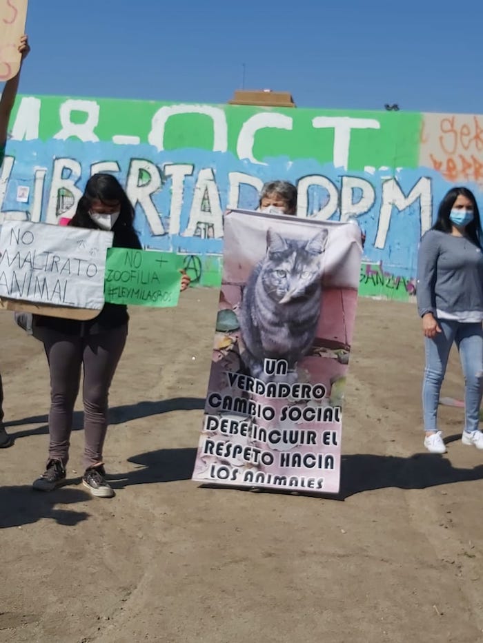 Los manifestantes portaban pancartas con consignas contra el maltrato animal.