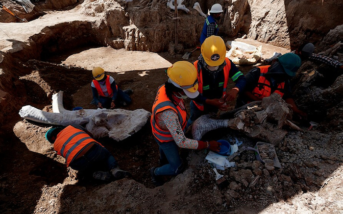 Los Restos De Un Mamut Son Extraídos Por Especialistas Del Instituto Nacional De Antropología E Historia inah El De Octubre De En La Zona Donde De Construye El Aeropuerto Internacional Felipe Ángeles En El Municipio De Zumpango En El Municipio De Zumpango méxico