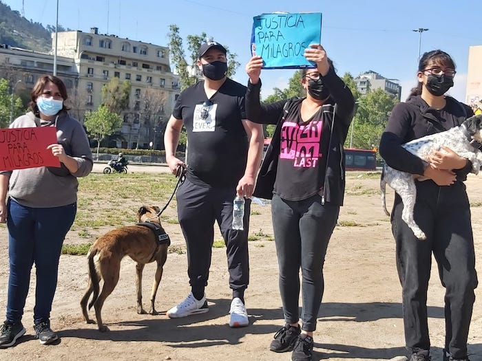 En la protesta para exigir justicia por Milagros, también se pudo observar a personas con sus mascotas.