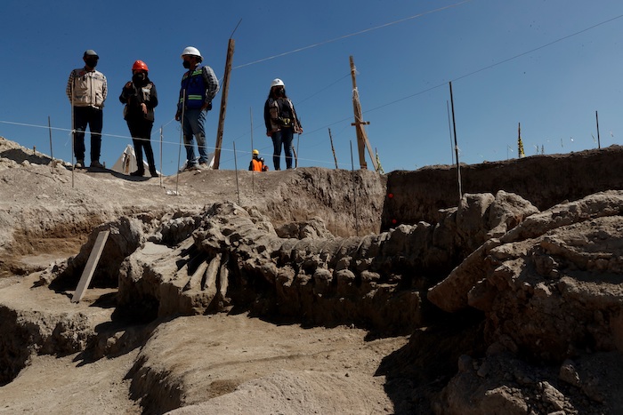 Los Restos De Un Mamut Son Extraídos Por Especialistas Del Instituto Nacional De Antropología E Historia inah El De Octubre De En La Zona Donde De Construye El Aeropuerto Internacional Felipe Ángeles En El Municipio De Zumpango En El Municipio De Zumpango méxico