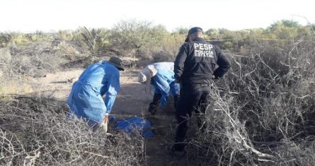 Grupos de voluntarios que buscan a sus parientes desaparecidos descubrieron el tiradero de cadáveres en un área de matorrales cerca de una carretera al oeste de Hermosillo, la capital estatal.