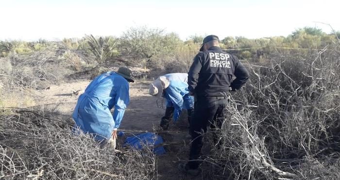 Grupos de voluntarios que buscan a sus parientes desaparecidos descubrieron el tiradero de cadáveres en un área de matorrales cerca de una carretera al oeste de Hermosillo, la capital estatal.