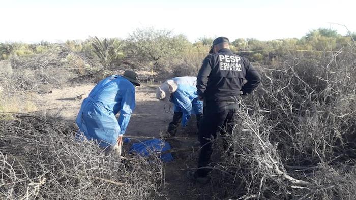 Grupos de voluntarios que buscan a sus parientes desaparecidos descubrieron el tiradero de cadáveres en un área de matorrales cerca de una carretera al oeste de Hermosillo, la capital estatal.