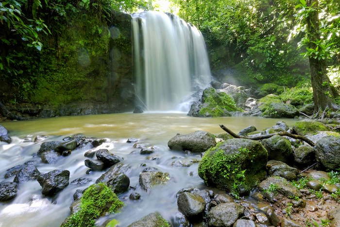 Una Cascada Dentro De Un Bosque Tropical En La Localidad De Bijagua Upala costa Rica