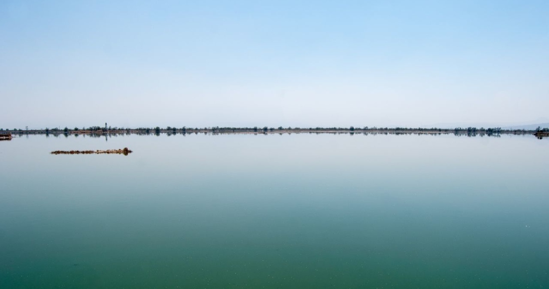 Superficie federal del parque ecológico del Lago de Texcoco.